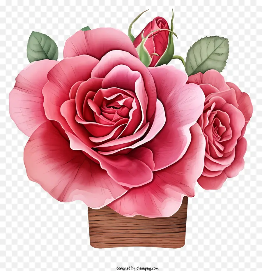 Valentine Rose Floral Art，Rosas Cor De Rosa PNG