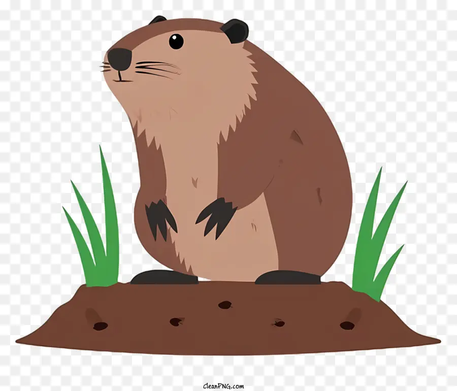 Ilustração Vetorial Plana Minimalizada，Dia Da Marmota PNG