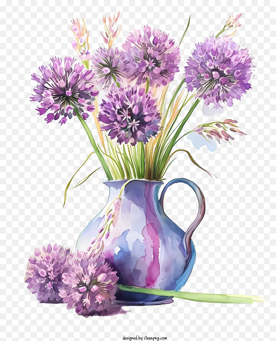 Allium Giganteum，Pintura De Vaso De Cebola PNG