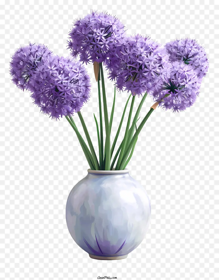 Allium Giganteum，Flores Roxas PNG