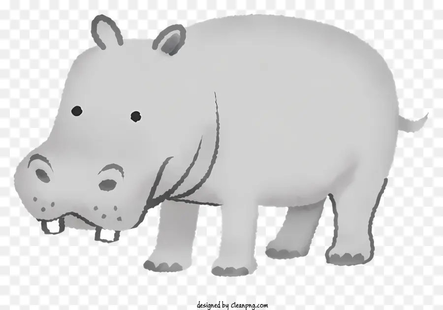 Cartoon Hipopótamo，Hipopótamo Ilustração PNG