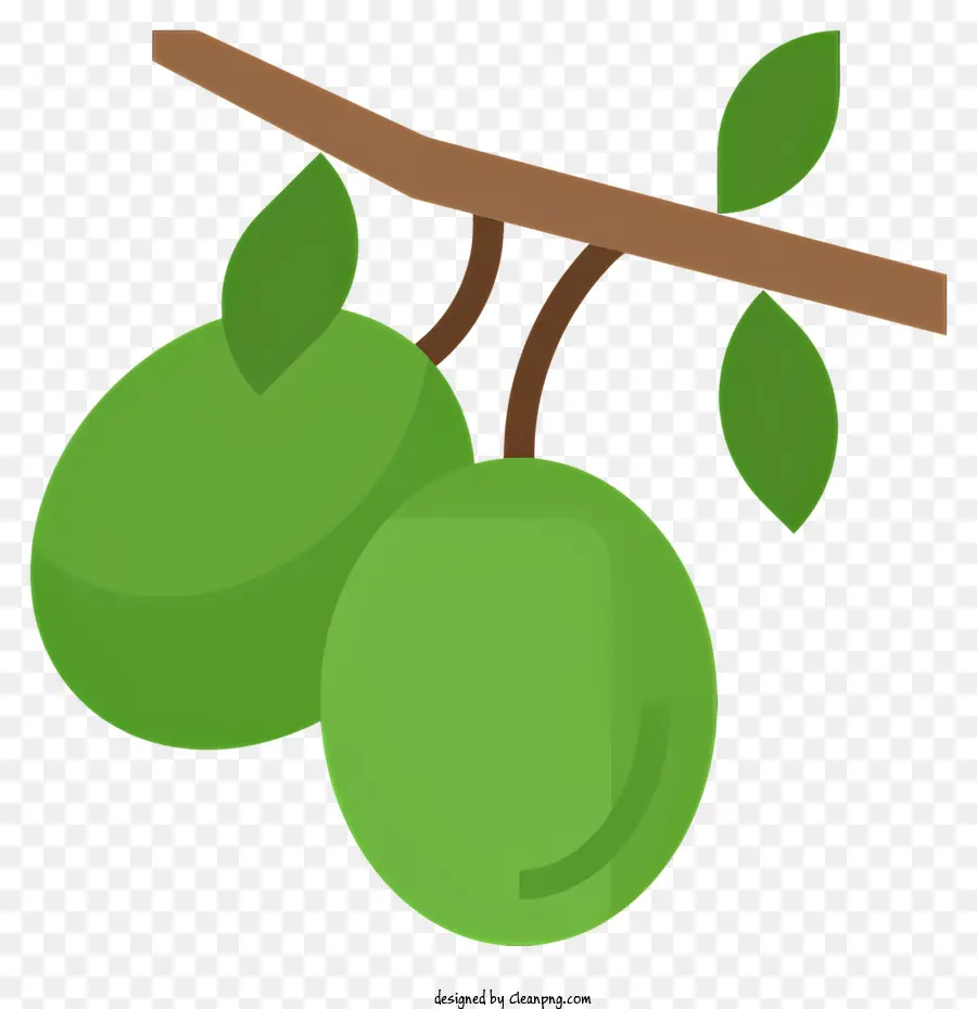 Olive Branch，Azeitonas Verdes PNG