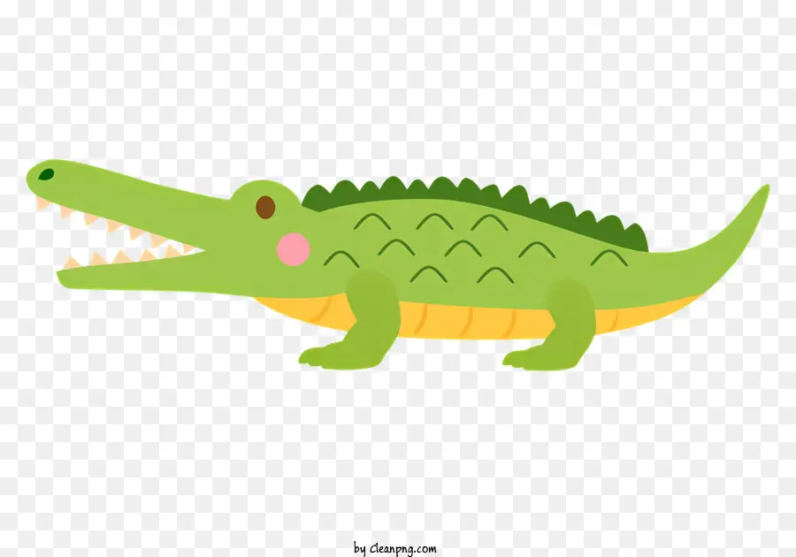 Verde Crocodilo，Cartoon Crocodilo PNG