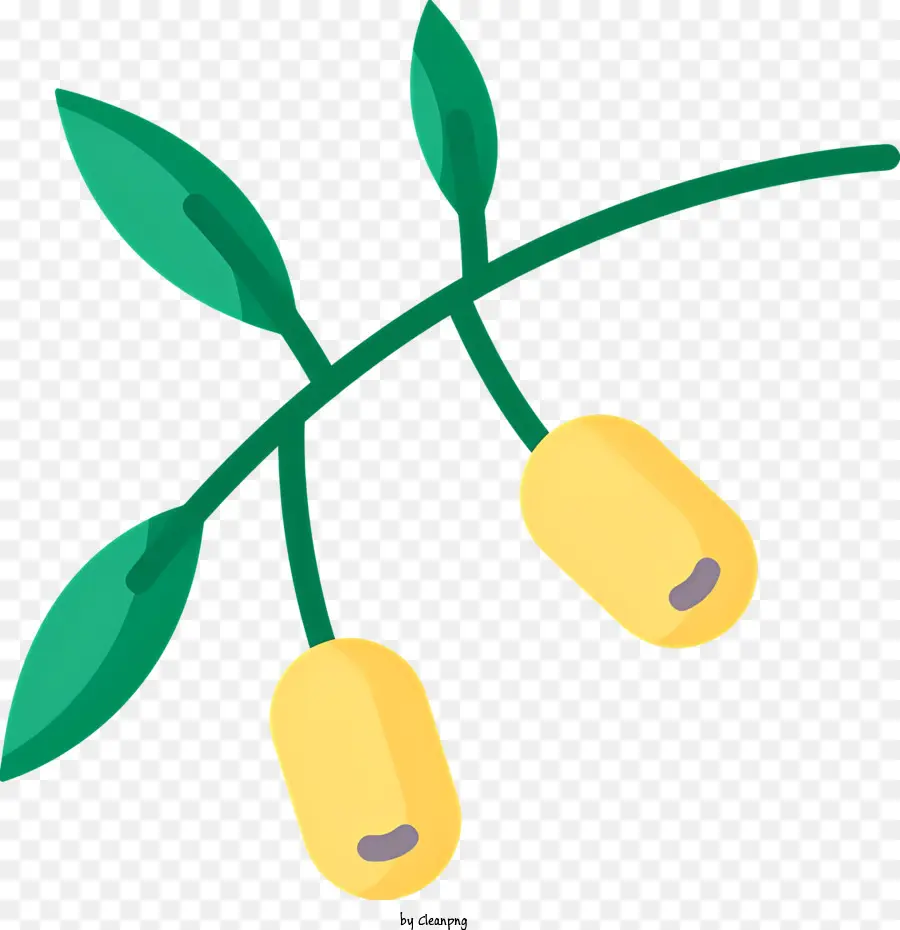 Olive Branch，Deixa PNG