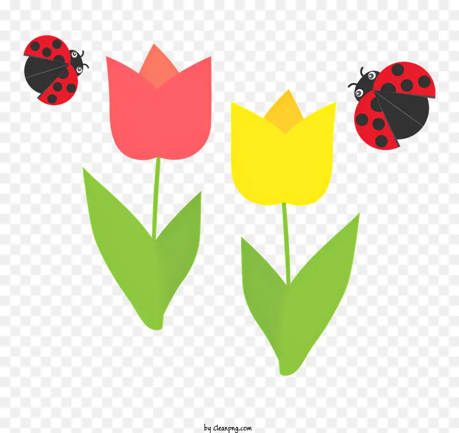 Tulipas，Joaninha PNG