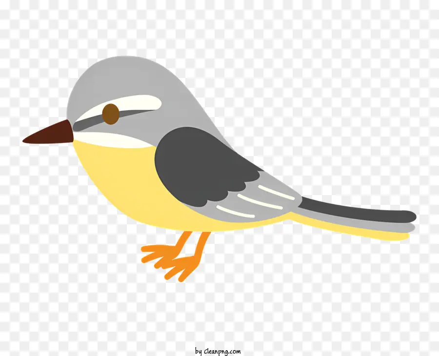 Pássaro Cinza E Branco，Olhos Amarelos PNG