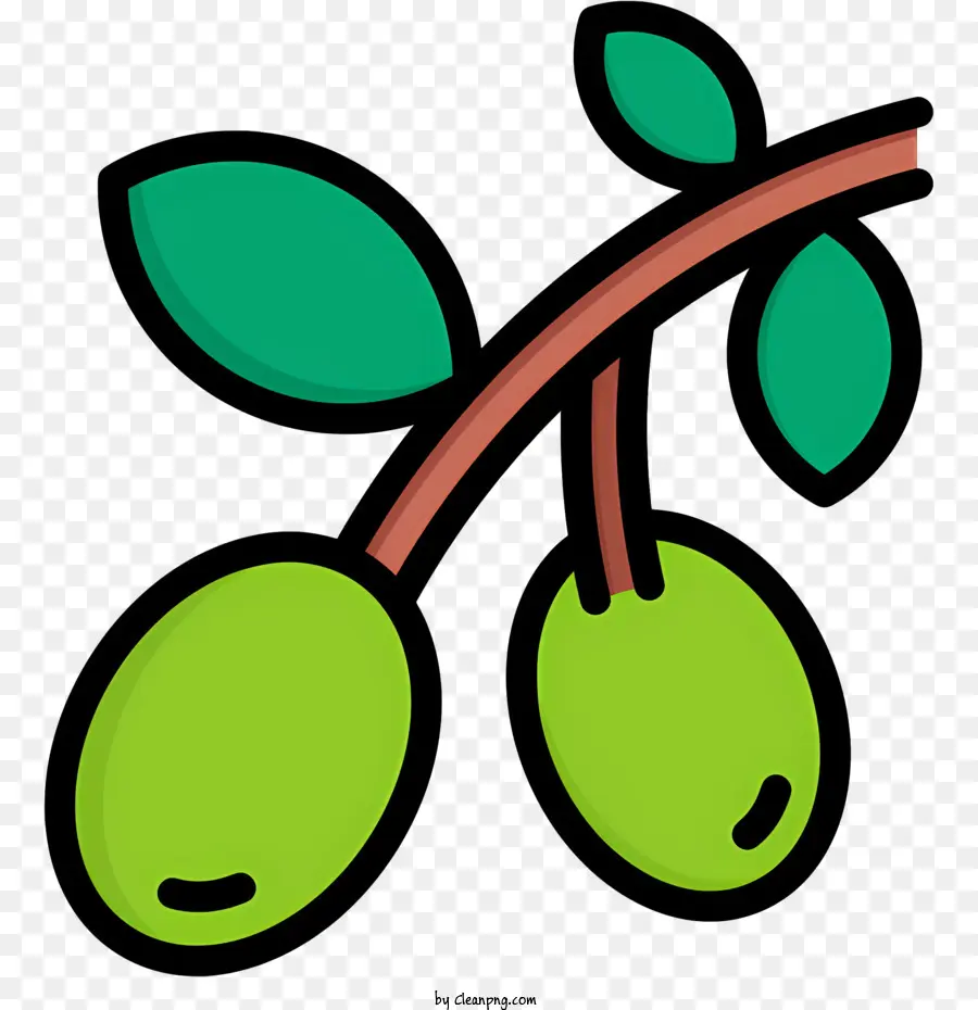 Olive Branch，Azeitonas Verdes PNG