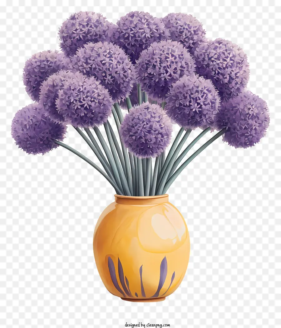 Allium Giganteum，Vaso PNG