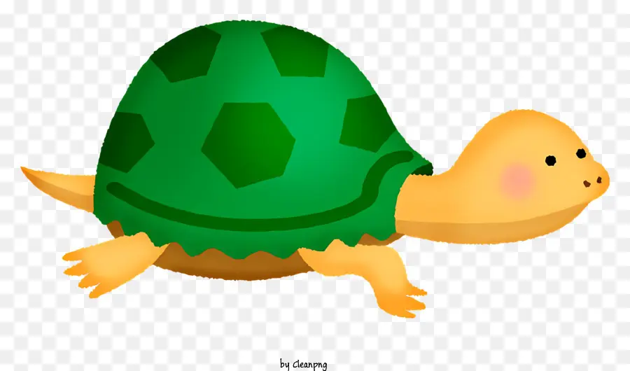 Turtle，Répteis PNG