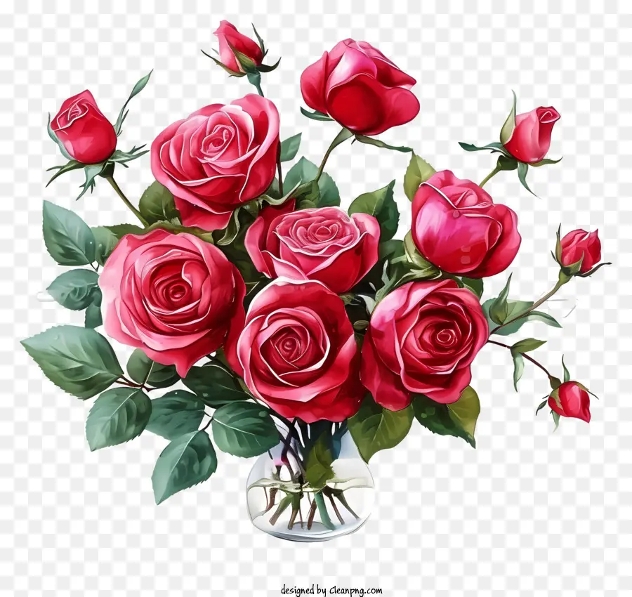 Valentine Rose Bunch Ilustra，Rosas Vermelhas PNG