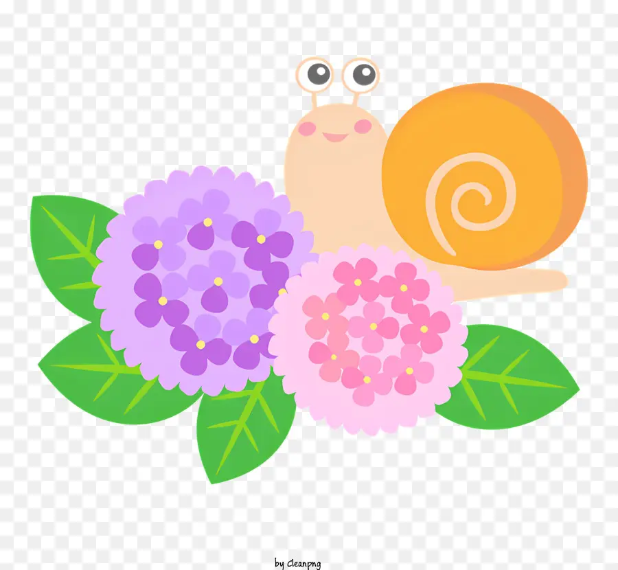 Caracol，Flores PNG