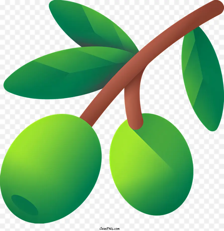Olive Branch，Simbolize A Paz PNG