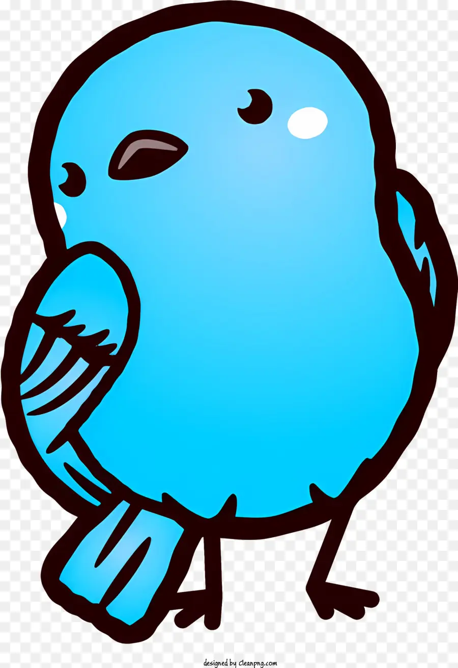 Pássaro Azul，Pássaro Com Ventre Branco PNG