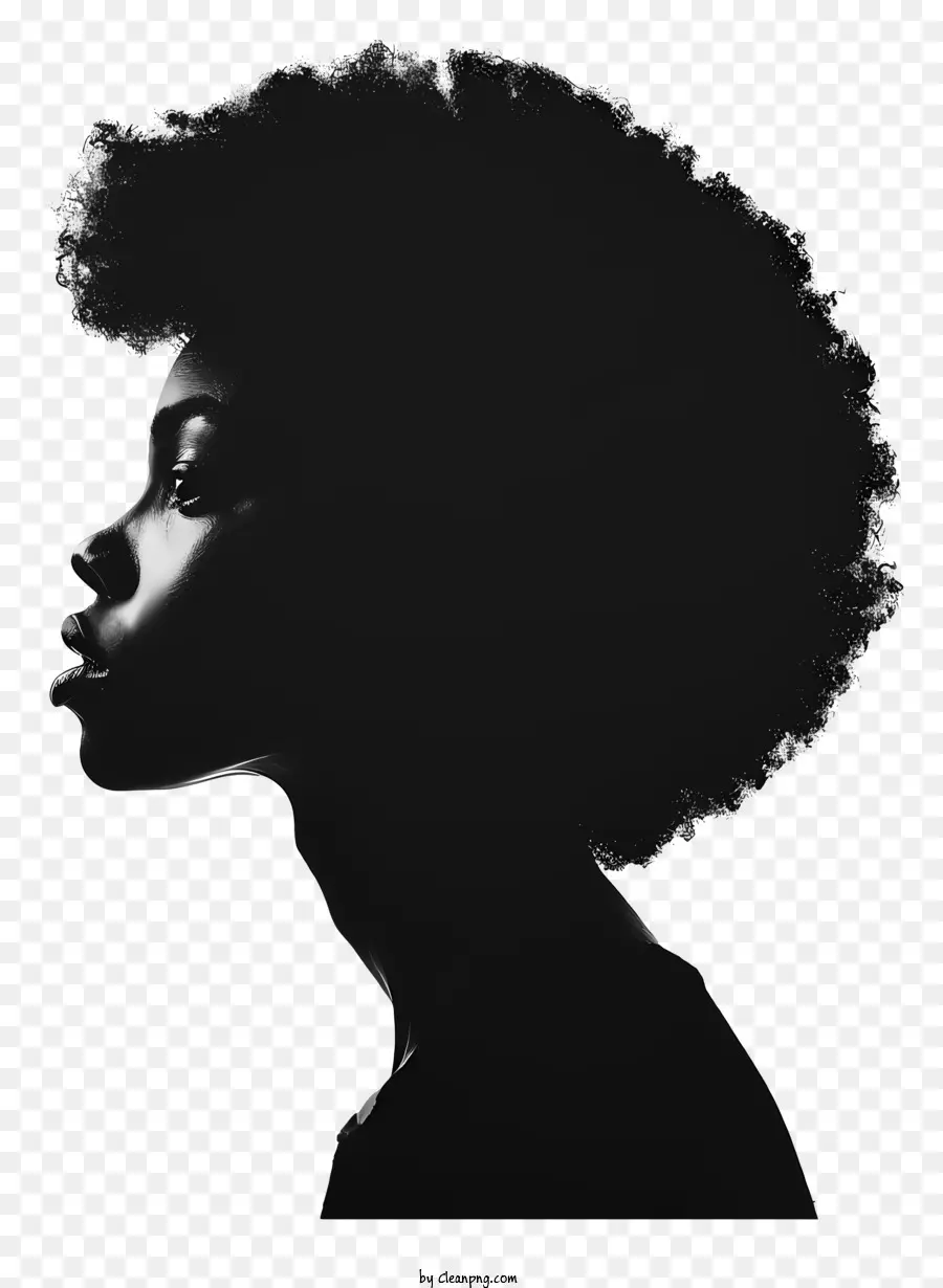 Mês Da História Negra，Penteado Afro PNG