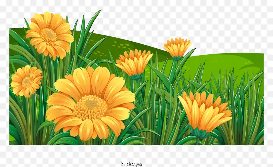 Primavera Do Campo，Flores Amarelas PNG