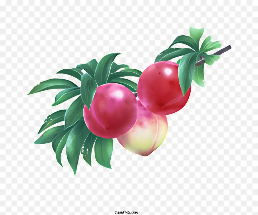 Frutas，Pêssegos PNG