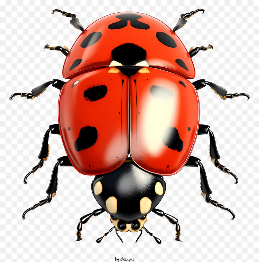 Ladybug De Estilo De Esboço，Joaninha PNG