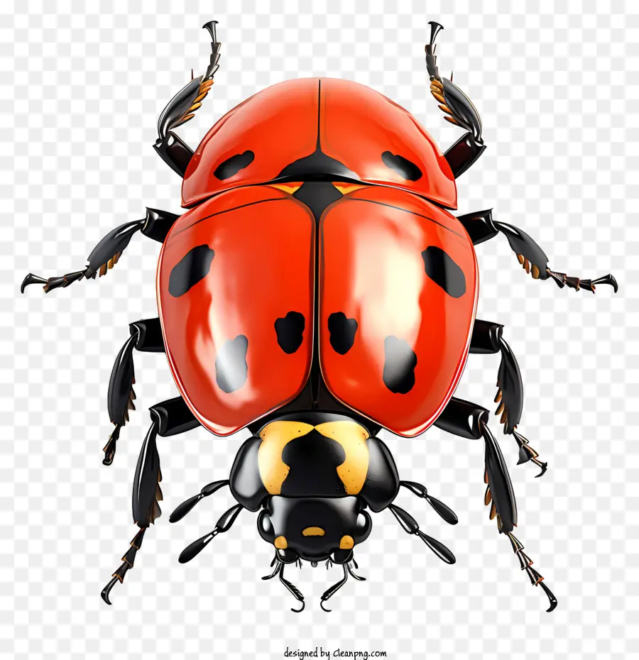 Ladybug De Estilo De Esboço，Joaninha PNG