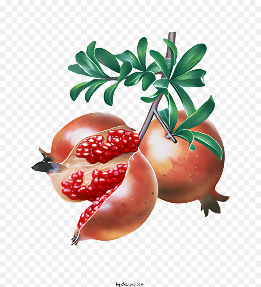 Frutas，Romã Rosa PNG