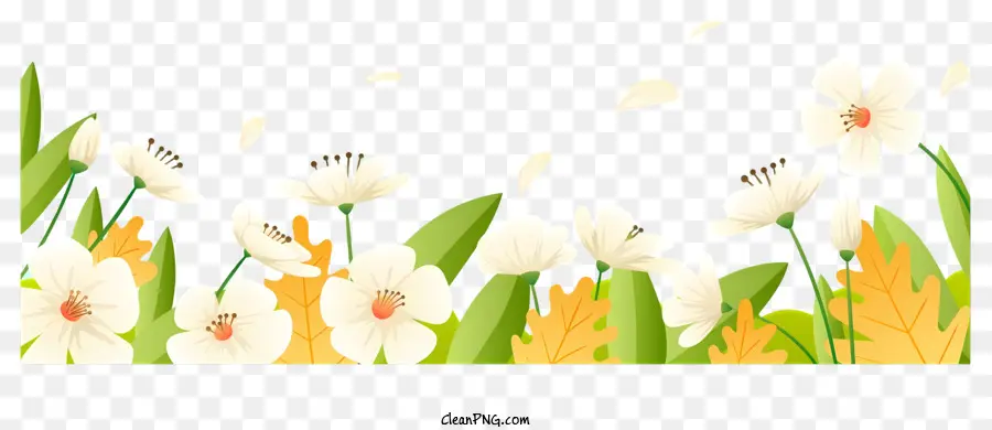 Primavera Do Campo，Flores Brancas PNG