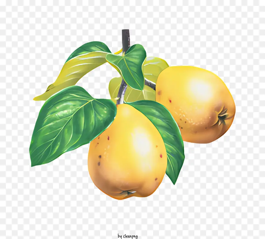 Frutas，Limões PNG