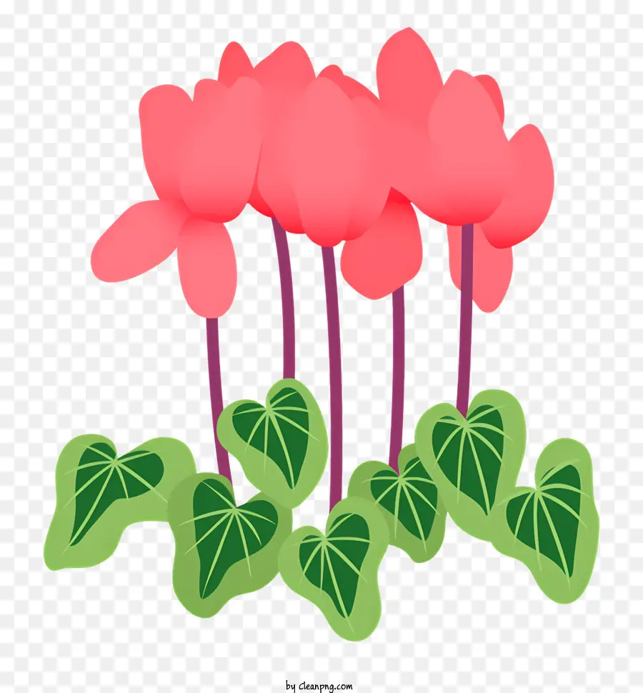 Flores Cor De Rosa，Folhas Verdes PNG