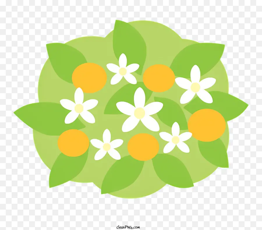 Flores Brancas，Folha Verde PNG