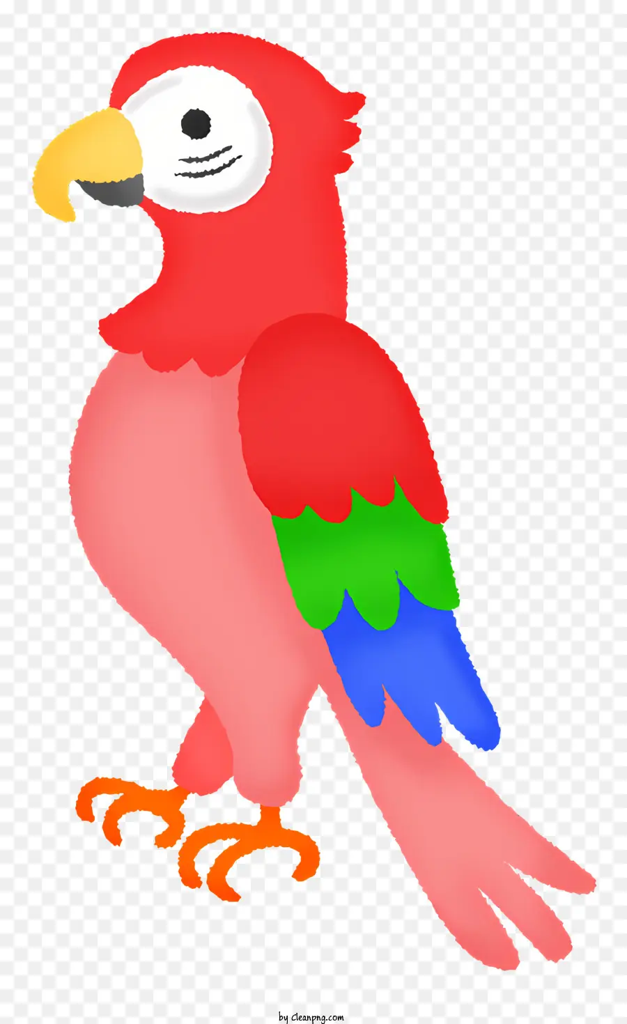 Parrot Colorido，Bico Grande PNG