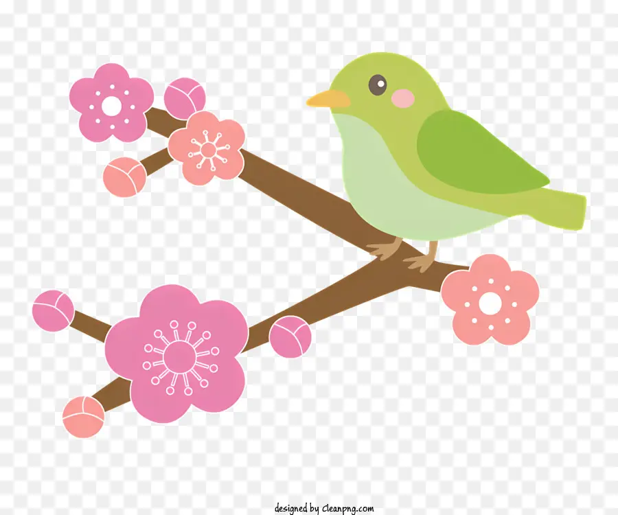 Primavera，Pássaro Verde Fofo PNG