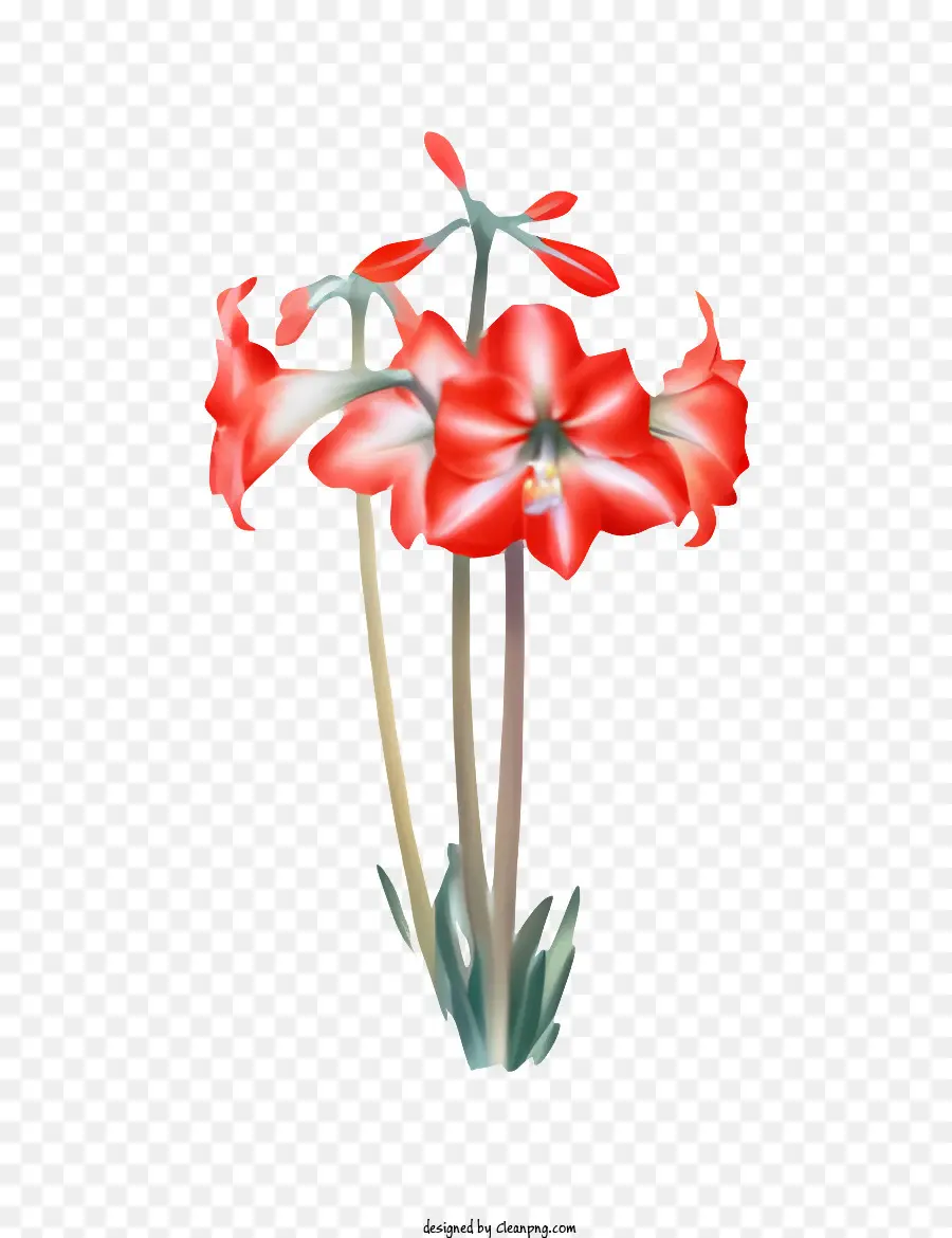 Flor，Pétalas Vermelhas PNG