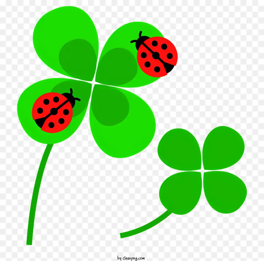 Primavera，Shamrock PNG