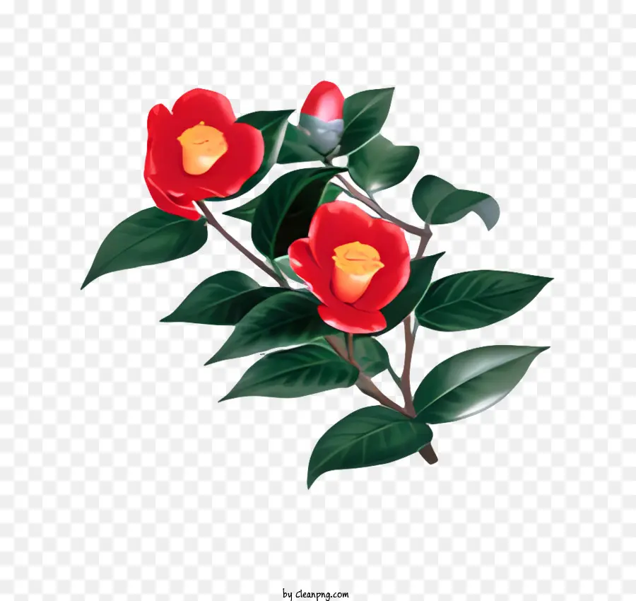 Flor，Flores Vermelhas PNG
