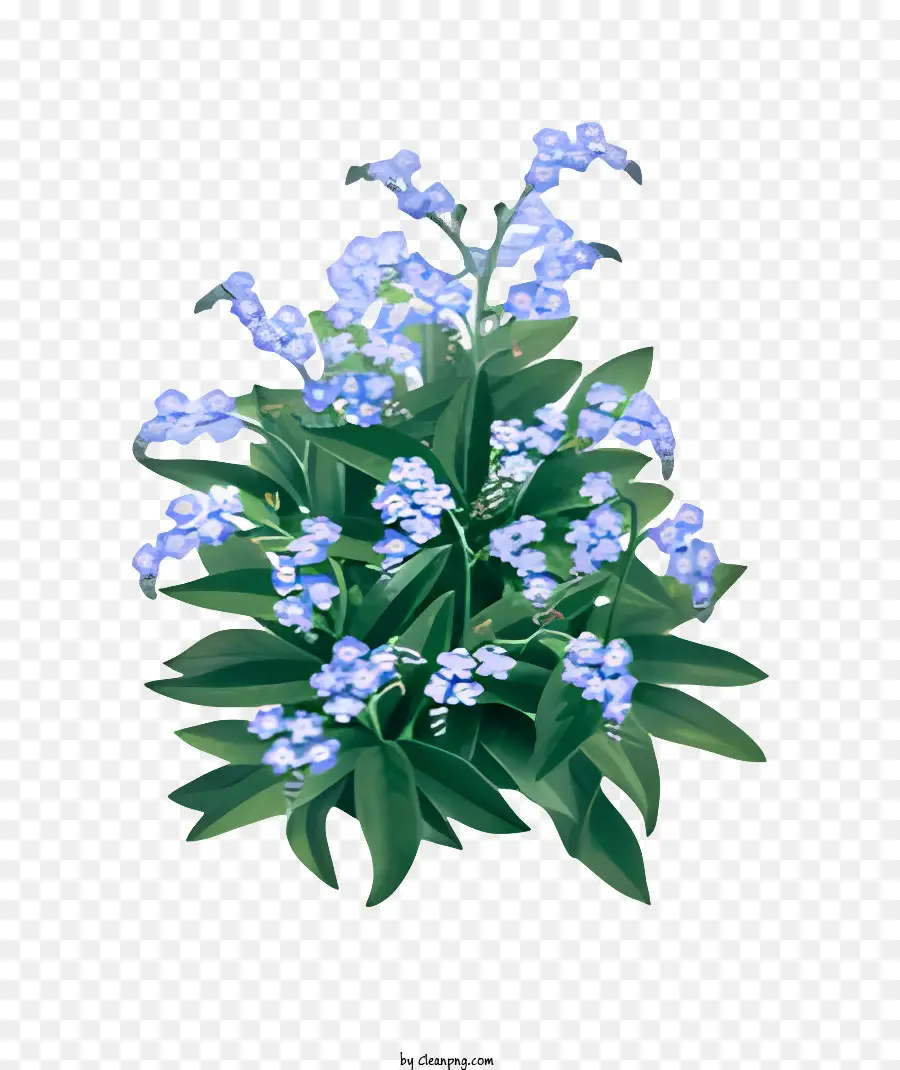 Flor，Flor Azul PNG