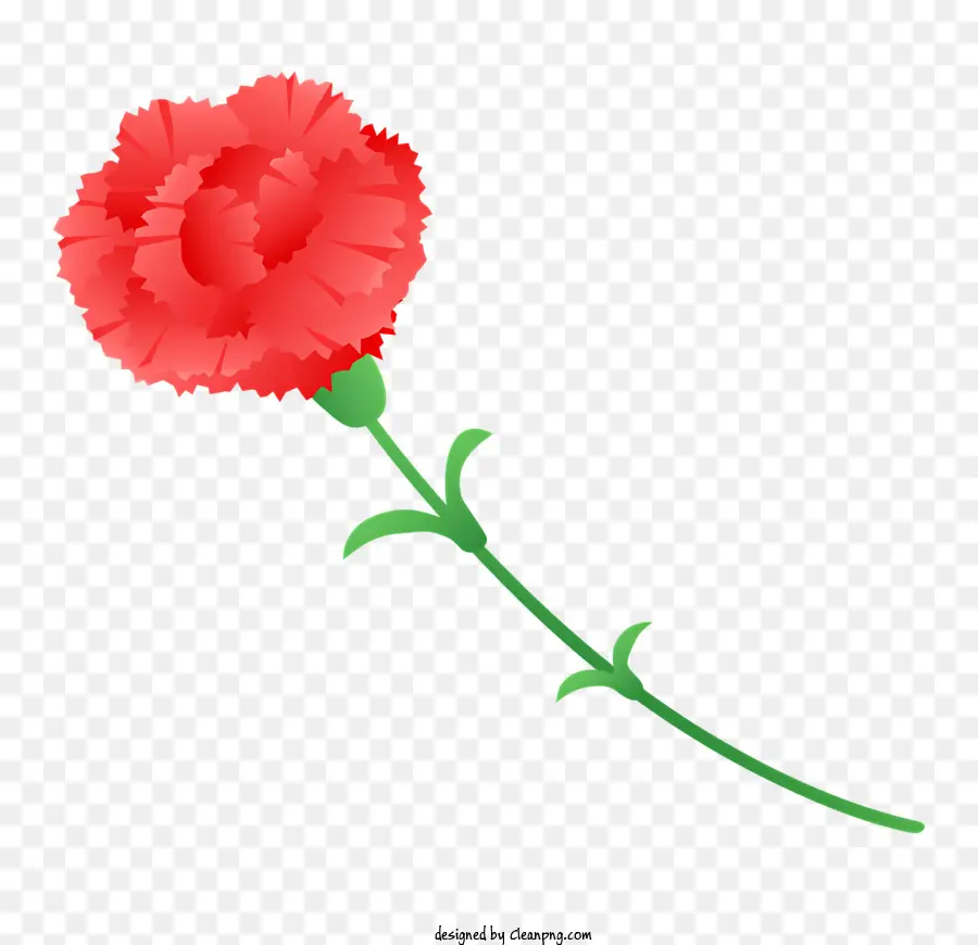 Primavera，Flor Rosa PNG