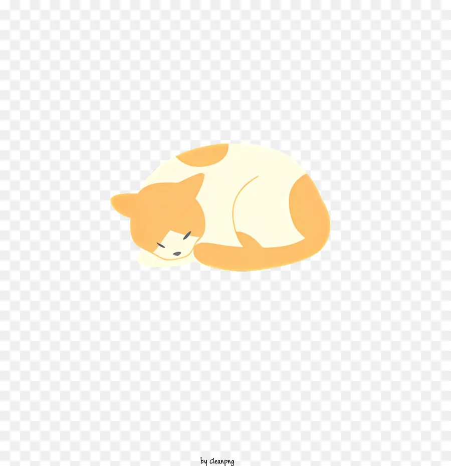 Gato Bonito，Gato Laranja E Branco PNG