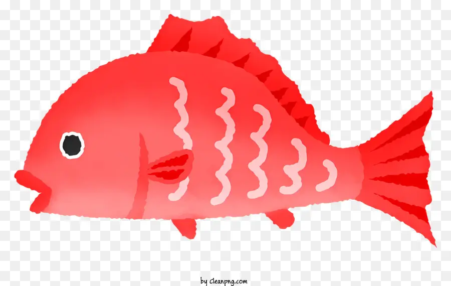 Peixe Vermelho，Olhos Grandes PNG