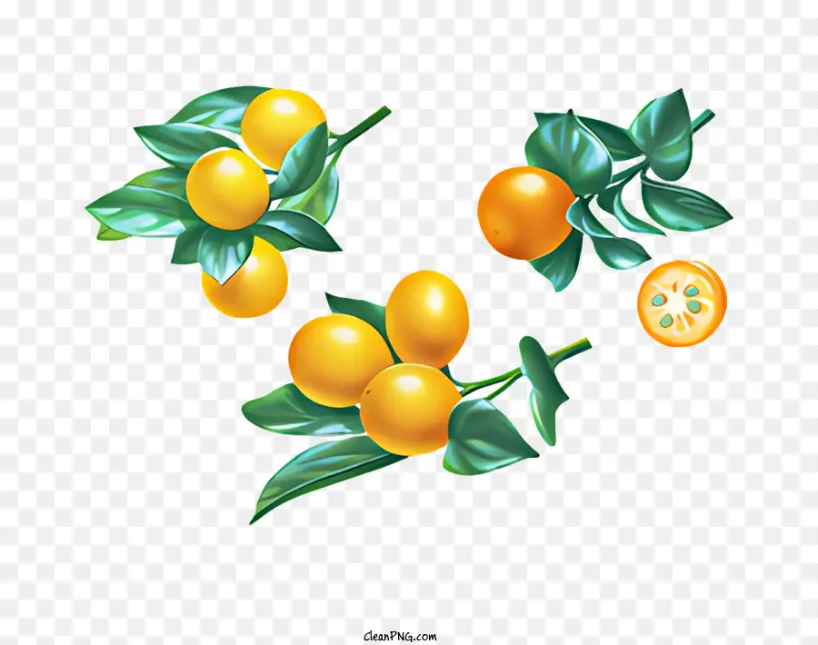 Frutas，Laranja PNG