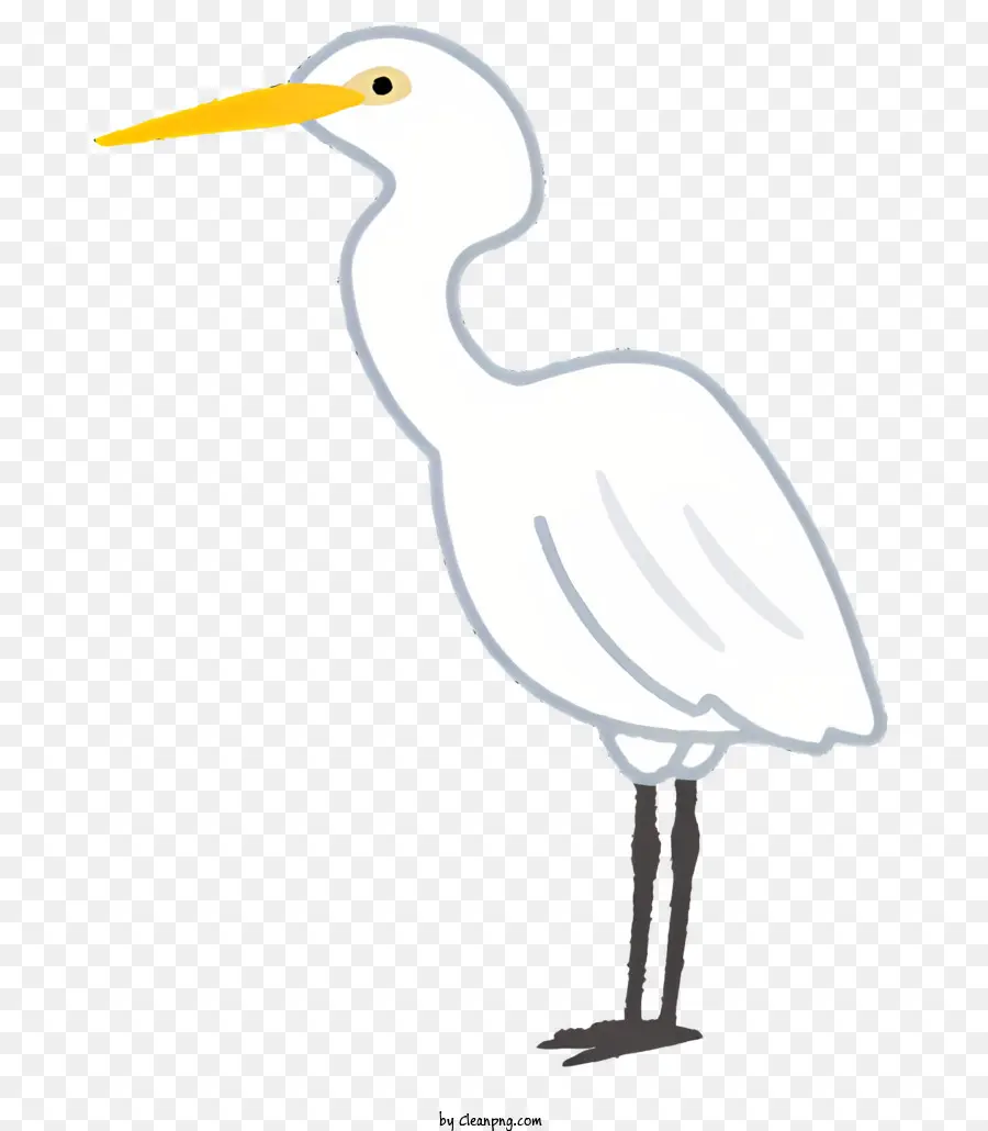 Aves，Pássaro Branco PNG