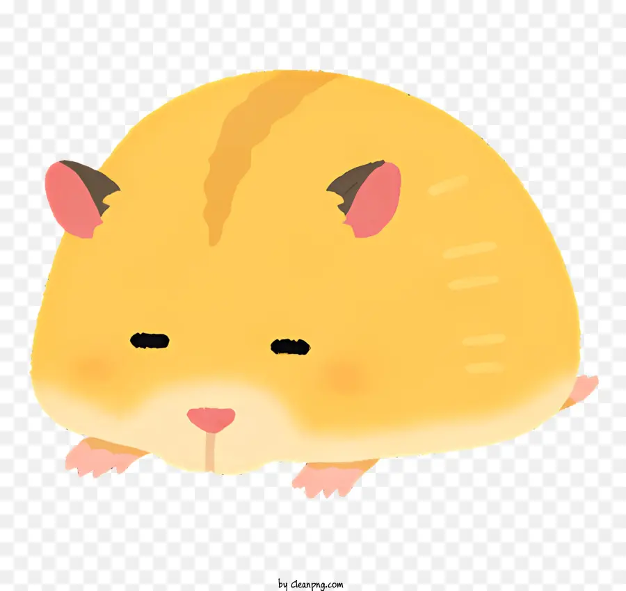 Hamster，Deitado PNG