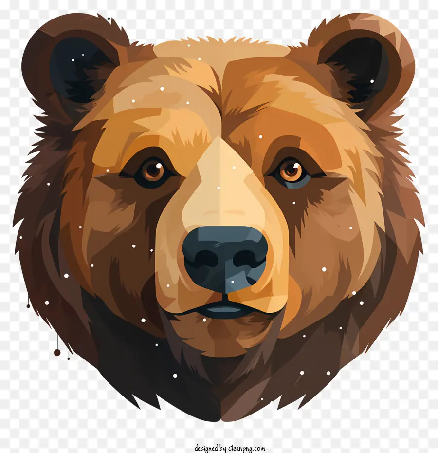 Urso Retrato，Urso Marrom PNG