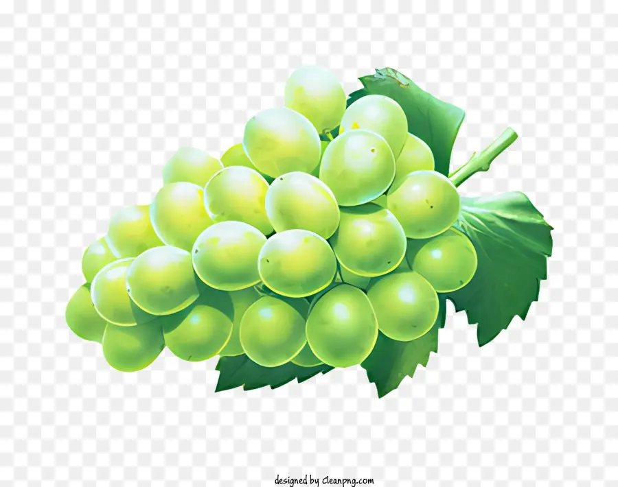 Frutas，Verde Uvas PNG