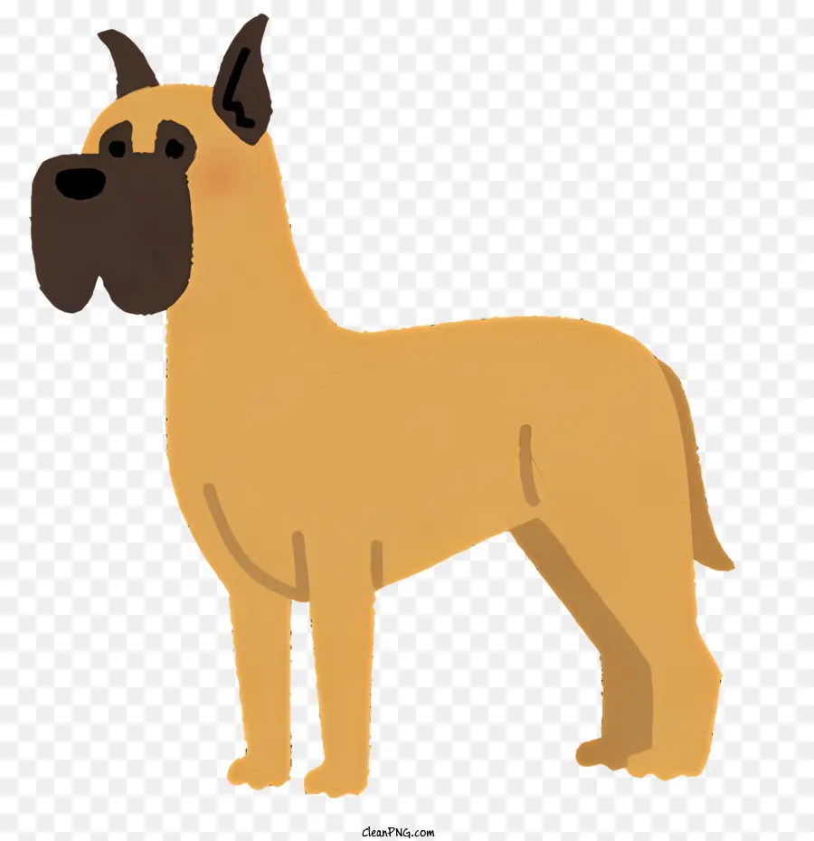 Cachorro，Cachorro Marrom PNG