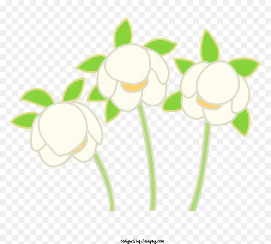 Flor，Flores Brancas PNG