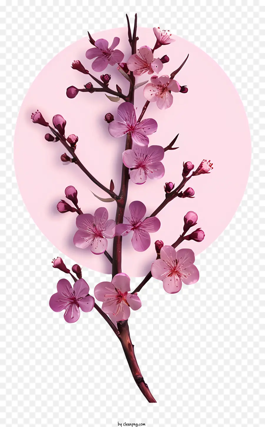 No Estilo De Ilustrações Hiperrealistas，Flor De Cerejeira PNG