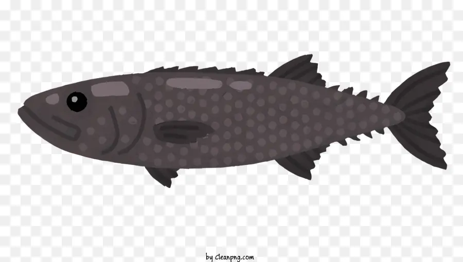 Peixe，Animais Aquáticos PNG