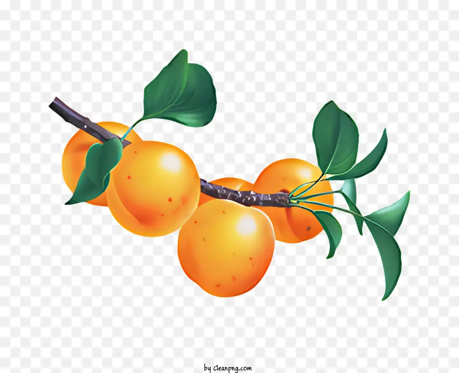 Frutas，Plum Tree PNG