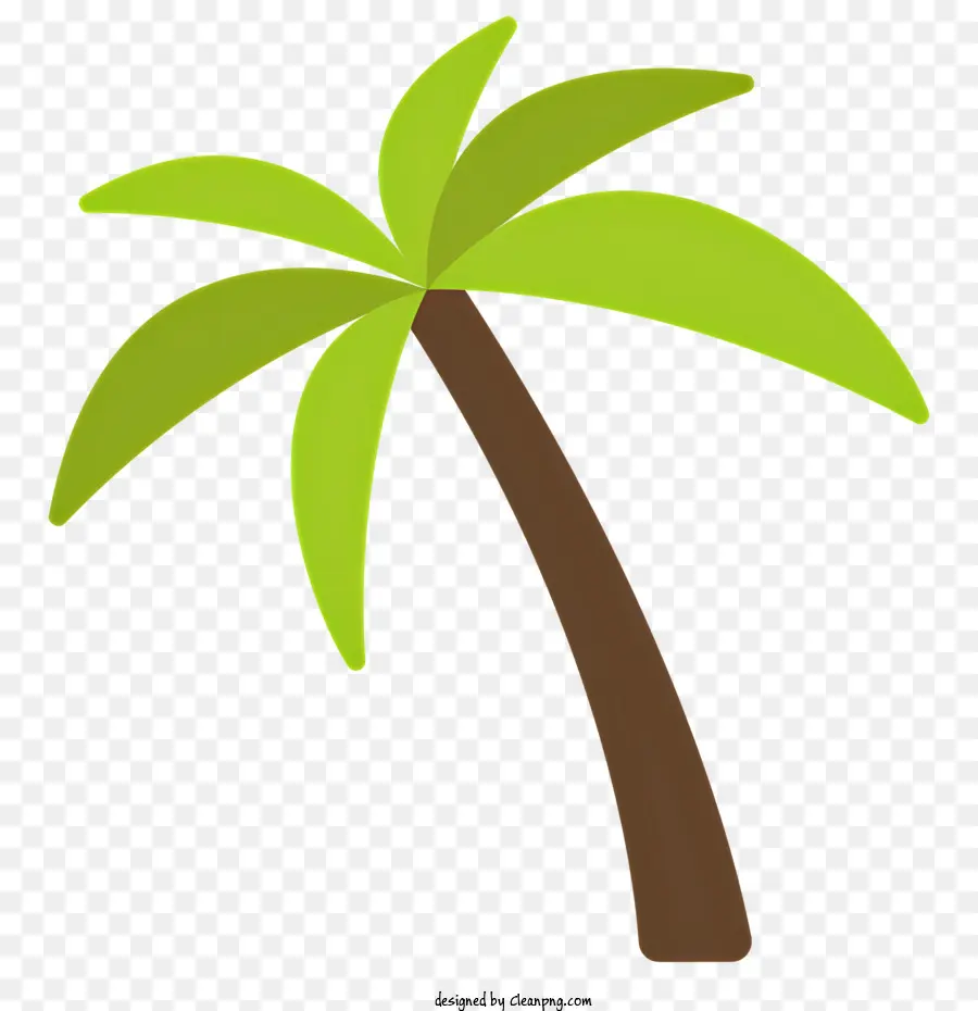 Palmeira，Folhas PNG