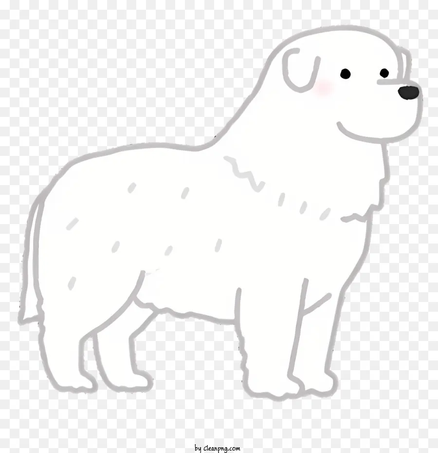 Cachorro，Cão Branco PNG