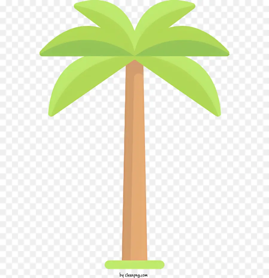 Palmeira，Canopy Verde PNG