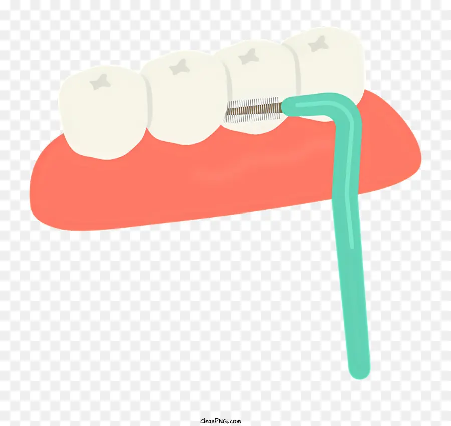 De Dentes Humanos，Dental Ferramenta PNG